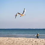 Gran Belveder&ostsee Therme Resort&spa Scharbeutz