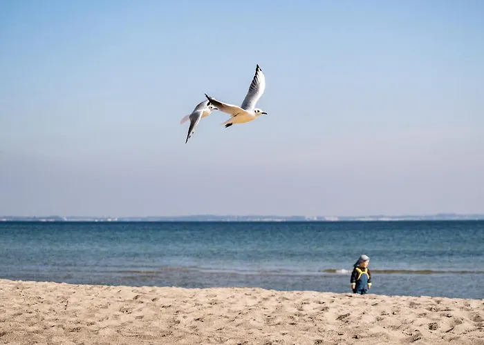 Gran Belveder&ostsee Therme Resort&spa Scharbeutz